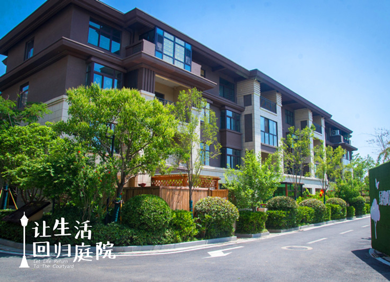 前后张望南阳50年：这样的天井，，，，，，，，很难再有了！