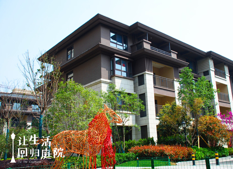 前后张望南阳50年：这样的天井，，，，，，，，很难再有了！