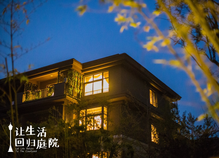 前后张望南阳50年：这样的天井，，，，，，，，很难再有了！