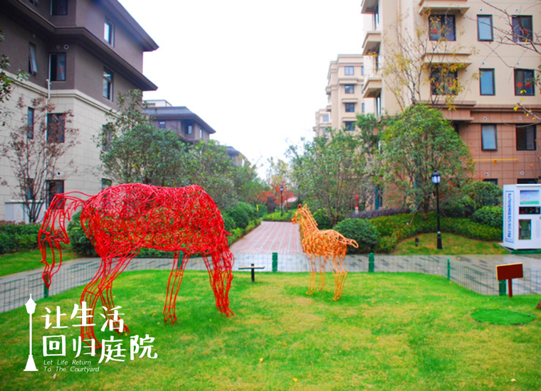 前后张望南阳50年：这样的天井，，，，，，，，很难再有了！