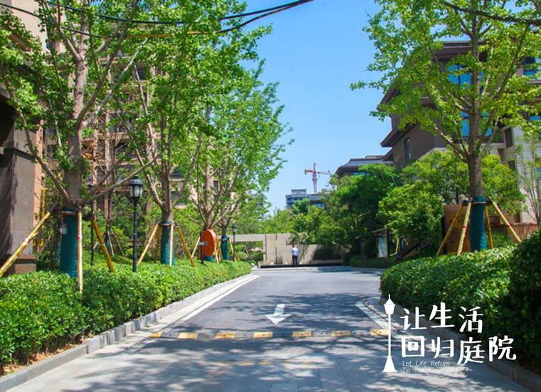 前后张望南阳50年：这样的天井，，，，，，，，很难再有了！