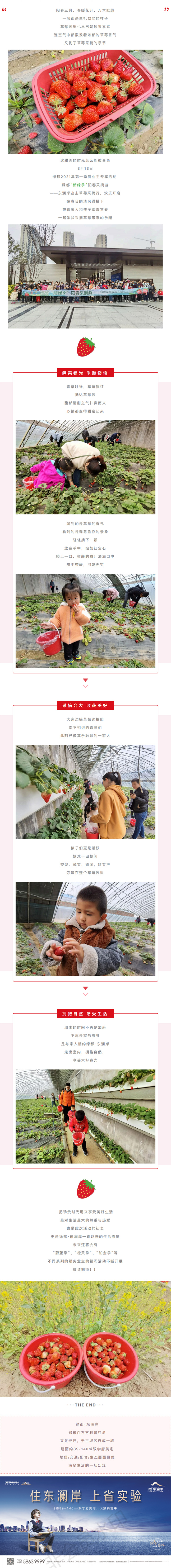 草莓采摘行|“莓”好同业，，，，，，不负春日好时光